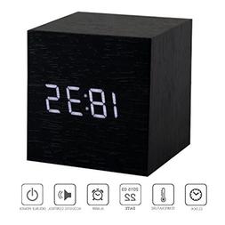 Usb/aaa Timer Temperature Snooze Voice Sound Control